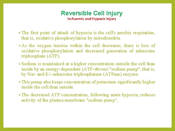 Reversible Cell lnjury Ischaemic and Hypoxic Injury • The first point of attack of