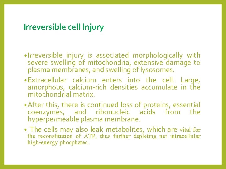Irreversible cell lnjury • Irreversible injury is associated morphologically with severe swelling of mitochondria,