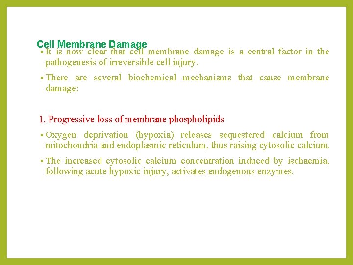 Cell Membrane Damage • It is now clear that cell membrane damage is a