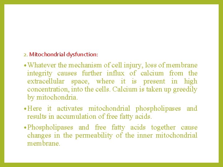 2. Mitochondrial dysfunction: • Whatever the mechanism of cell injury, loss of membrane integrity