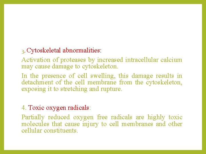 3. Cytoskeletal abnormalities: Activation of proteases by increased intracellular calcium may cause damage to