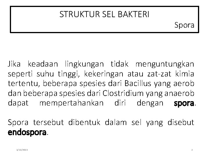 STRUKTUR SEL BAKTERI Spora Jika keadaan lingkungan tidak menguntungkan seperti suhu tinggi, kekeringan atau