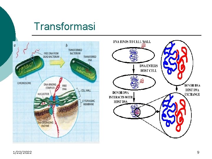 Transformasi 1/22/2022 9 