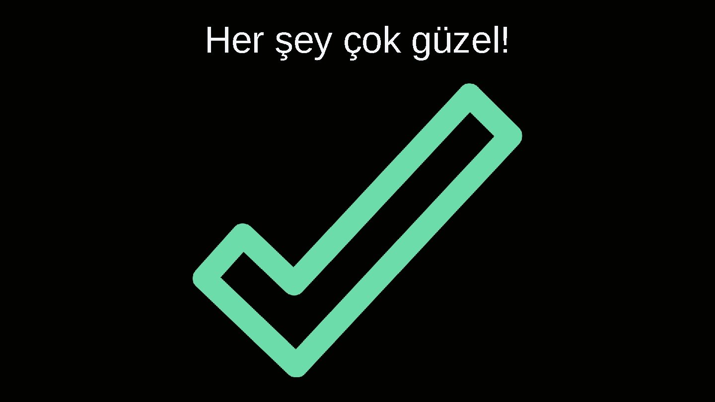 Her şey çok güzel! 