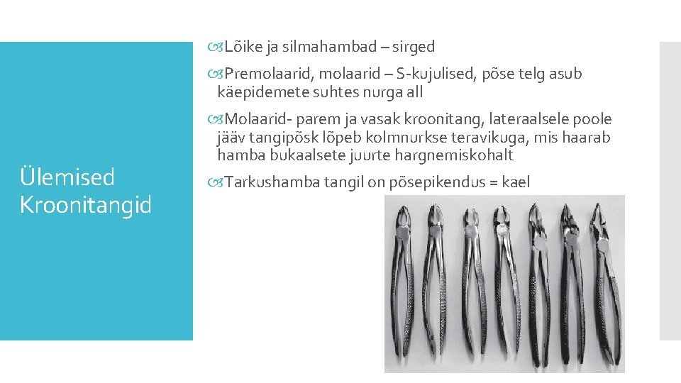  Lõike ja silmahambad – sirged Premolaarid, molaarid – S-kujulised, põse telg asub käepidemete