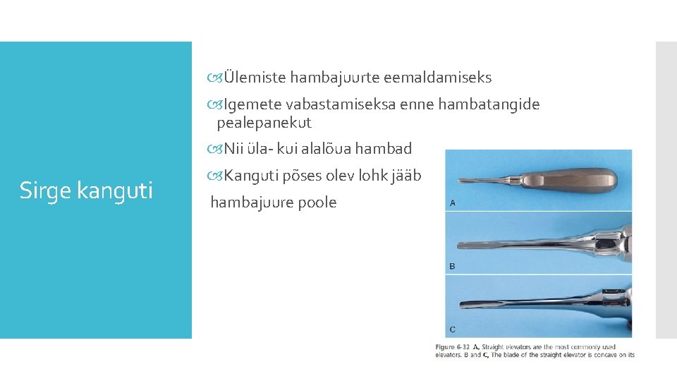 Ülemiste hambajuurte eemaldamiseks Igemete vabastamiseksa enne hambatangide pealepanekut Nii üla- kui alalõua hambad