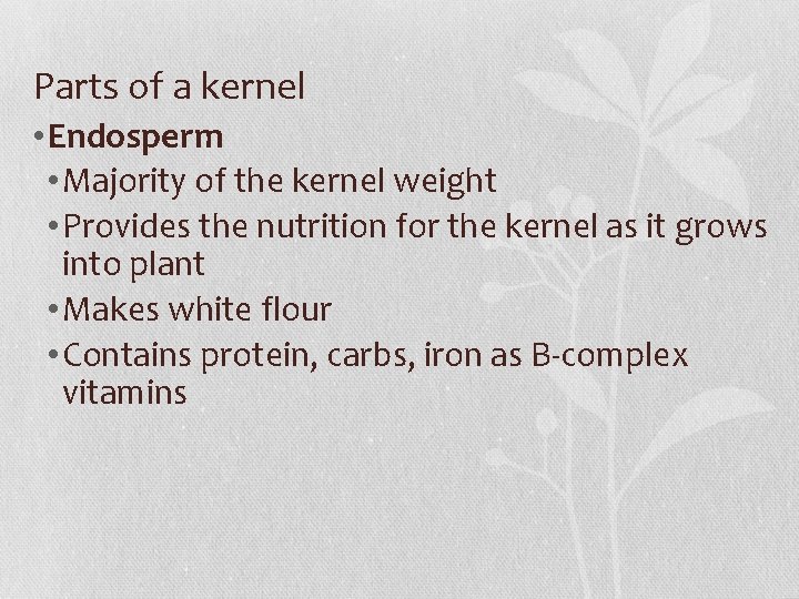 Parts of a kernel • Endosperm • Majority of the kernel weight • Provides