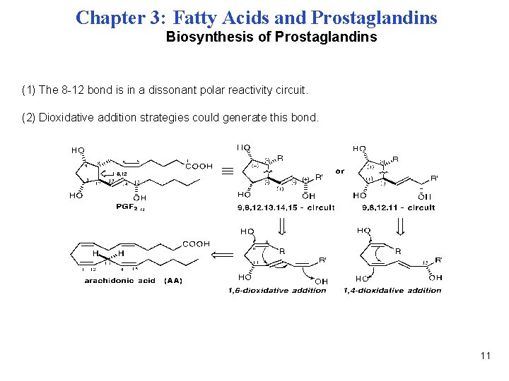 Chapter 3: Fatty Acids and Prostaglandins Biosynthesis of Prostaglandins (1) The 8 -12 bond