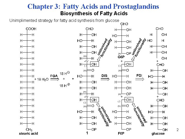 Chapter 3: Fatty Acids and Prostaglandins Biosynthesis of Fatty Acids Unimplimented strategy for fatty