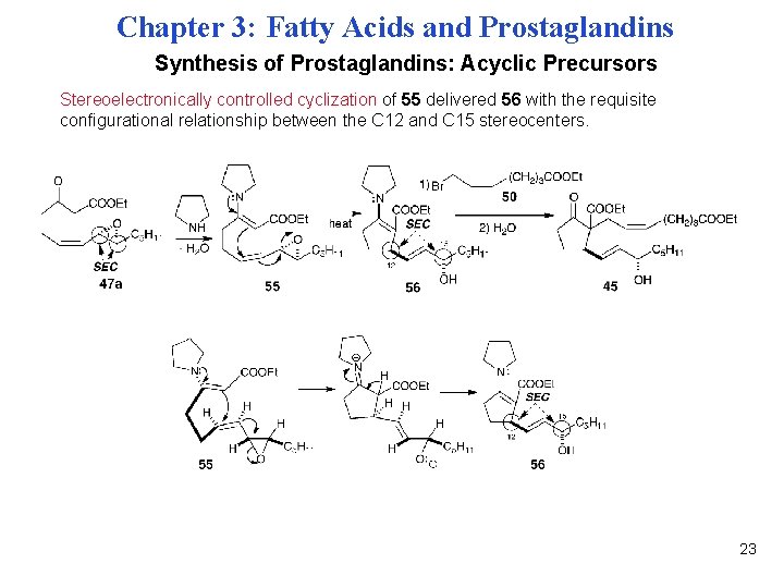Chapter 3: Fatty Acids and Prostaglandins Synthesis of Prostaglandins: Acyclic Precursors Stereoelectronically controlled cyclization