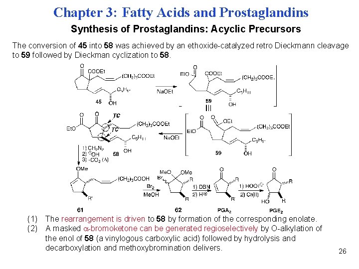 Chapter 3: Fatty Acids and Prostaglandins Synthesis of Prostaglandins: Acyclic Precursors The conversion of