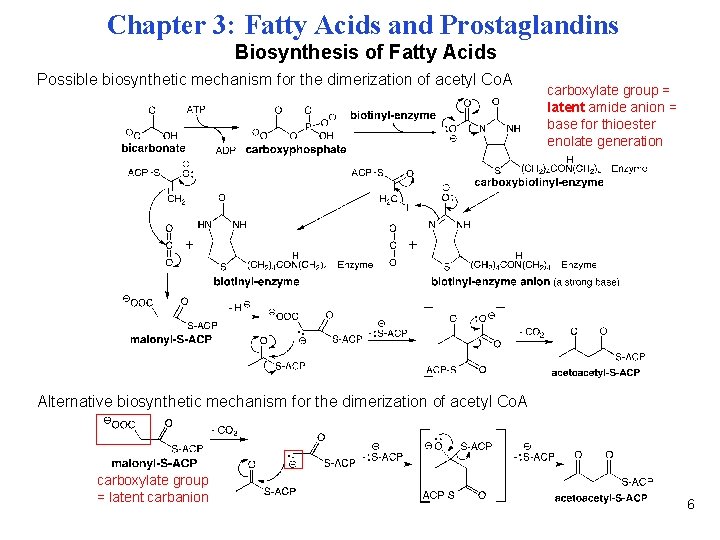 Chapter 3: Fatty Acids and Prostaglandins Biosynthesis of Fatty Acids Possible biosynthetic mechanism for