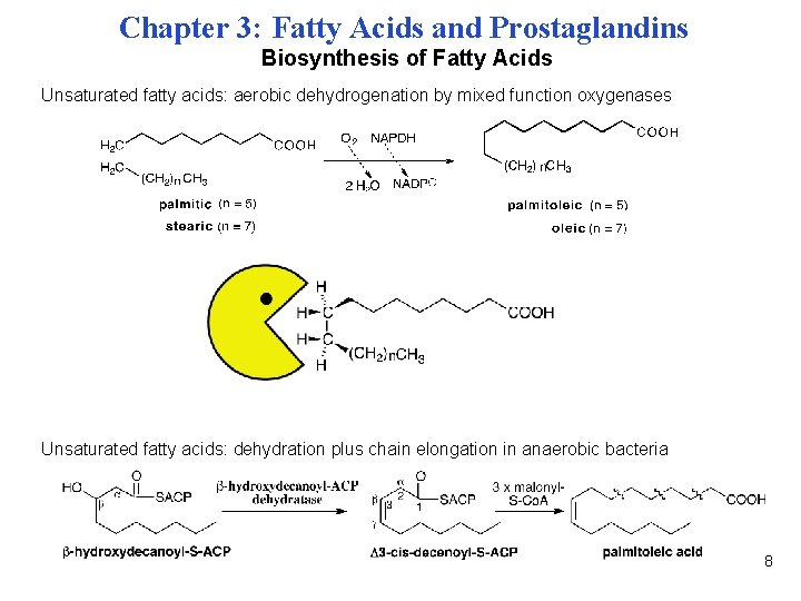Chapter 3: Fatty Acids and Prostaglandins Biosynthesis of Fatty Acids Unsaturated fatty acids: aerobic