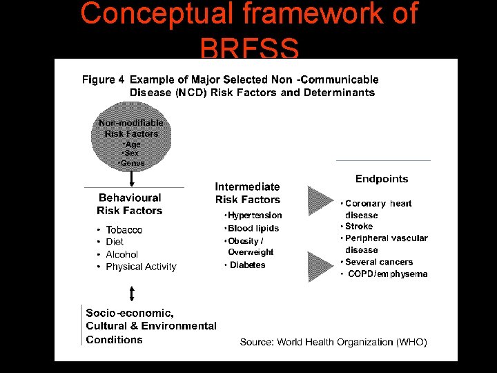 Conceptual framework of BRFSS 
