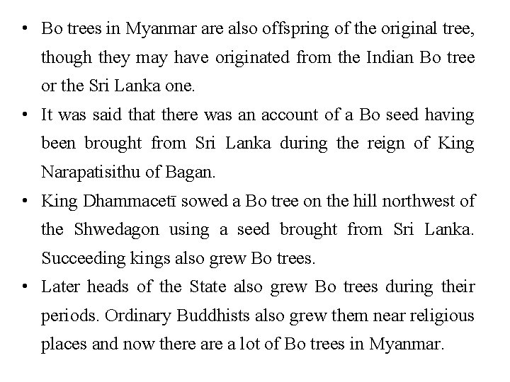  • Bo trees in Myanmar are also offspring of the original tree, though