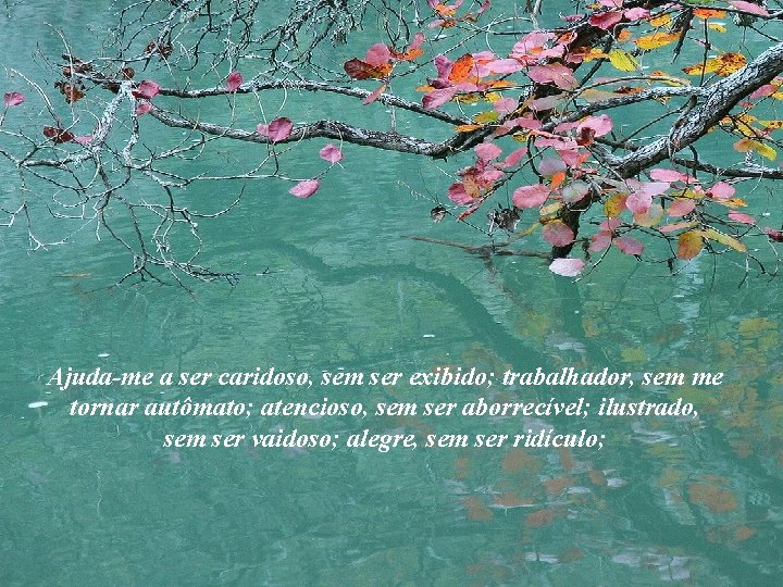 Ajuda-me a ser caridoso, sem ser exibido; trabalhador, sem me tornar autômato; atencioso, sem