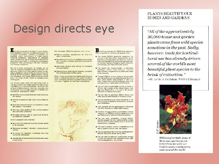 Design directs eye 