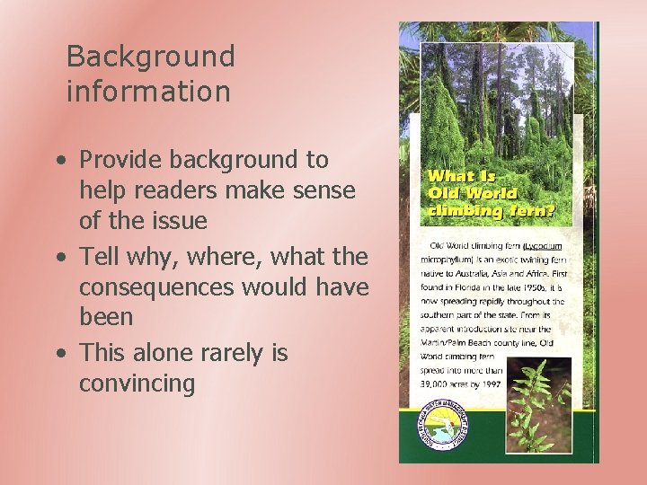 Background information • Provide background to help readers make sense of the issue •