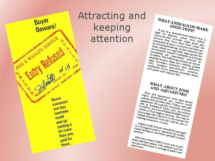 Attracting and keeping attention 