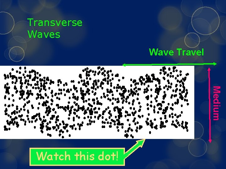 Transverse Waves Wave Travel Medium Watch this dot! 