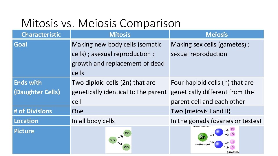 Mitosis vs. Meiosis Comparison Characteristic Goal Ends with (Daughter Cells) # of Divisions Location