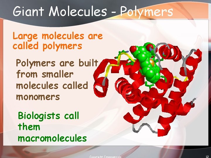 Giant Molecules - Polymers Large molecules are called polymers Polymers are built from smaller