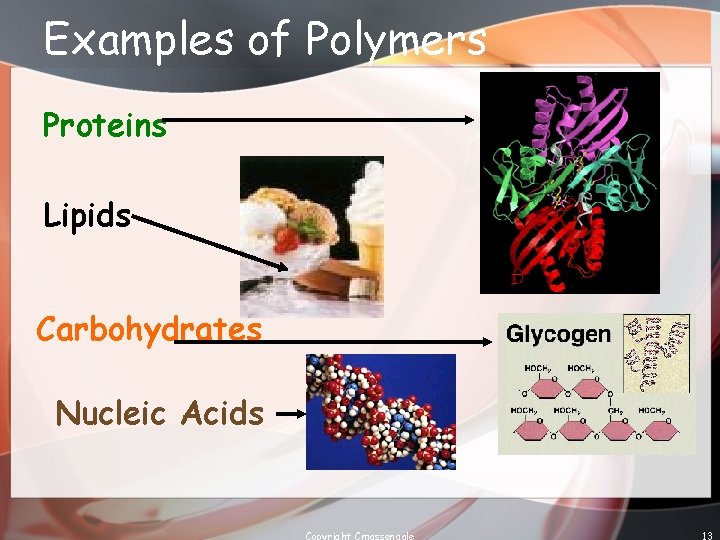 Examples of Polymers Proteins Lipids Carbohydrates Nucleic Acids Copyright Cmassengale 13 