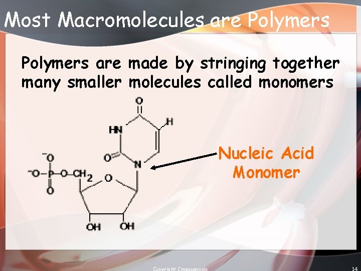 Most Macromolecules are Polymers are made by stringing together many smaller molecules called monomers