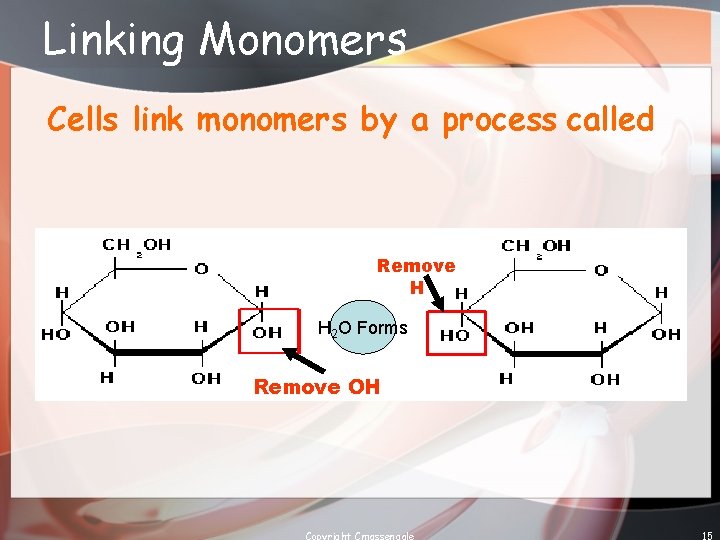 Linking Monomers Cells link monomers by a process called Remove H H 2 O
