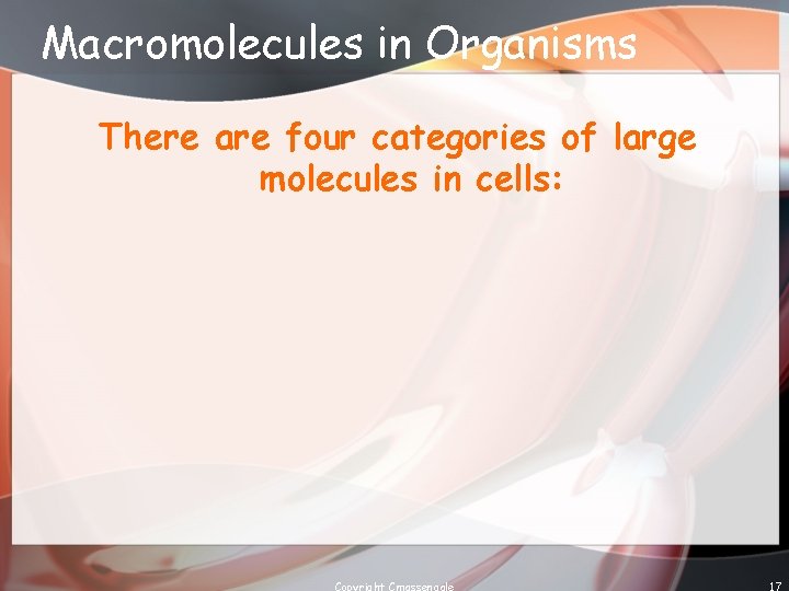 Macromolecules in Organisms There are four categories of large molecules in cells: Copyright Cmassengale