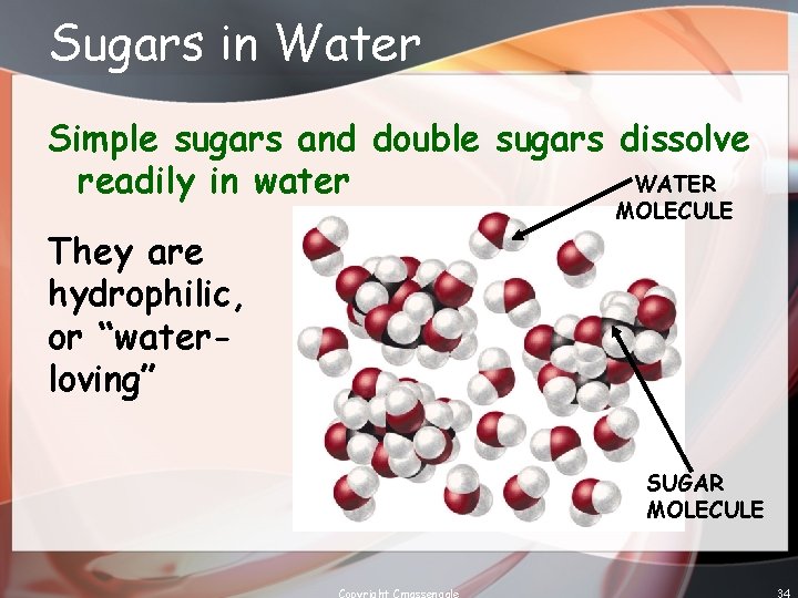 Sugars in Water Simple sugars and double sugars dissolve WATER readily in water MOLECULE
