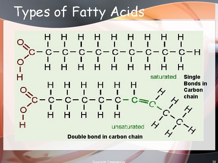 Types of Fatty Acids Single Bonds in Carbon chain Double bond in carbon chain