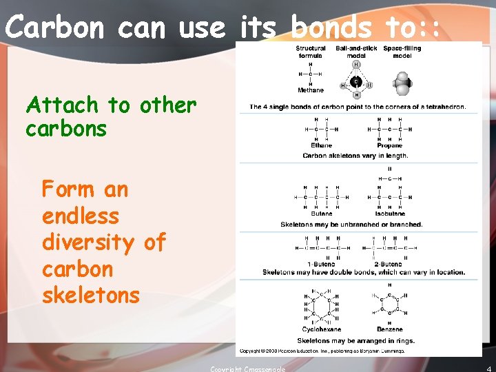 Carbon can use its bonds to: : Attach to other carbons Form an endless