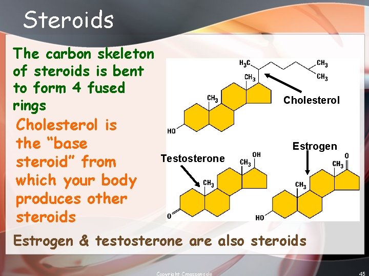 Steroids The carbon skeleton of steroids is bent to form 4 fused rings Cholesterol