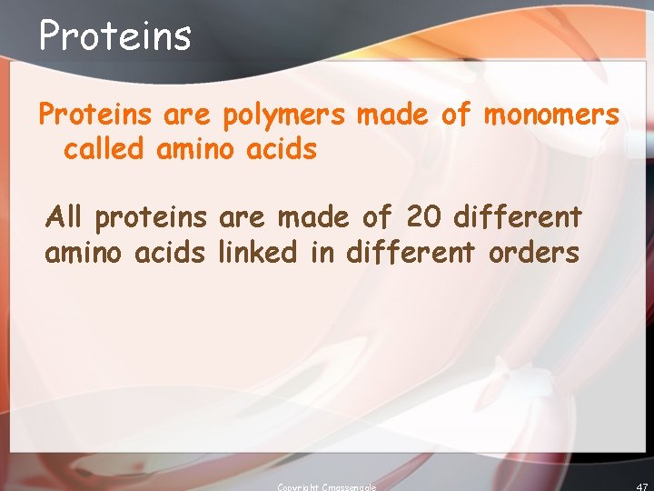 Proteins are polymers made of monomers called amino acids All proteins are made of