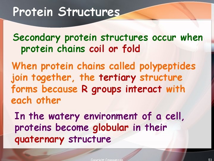 Protein Structures Secondary protein structures occur when protein chains coil or fold When protein
