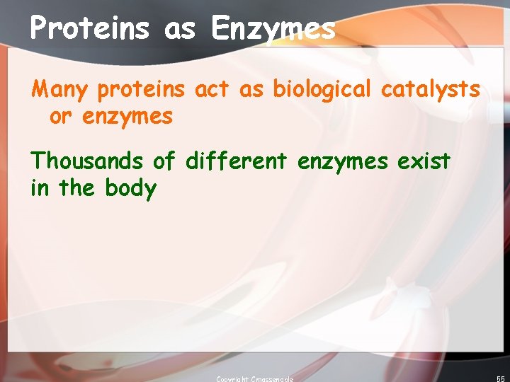 Proteins as Enzymes Many proteins act as biological catalysts or enzymes Thousands of different