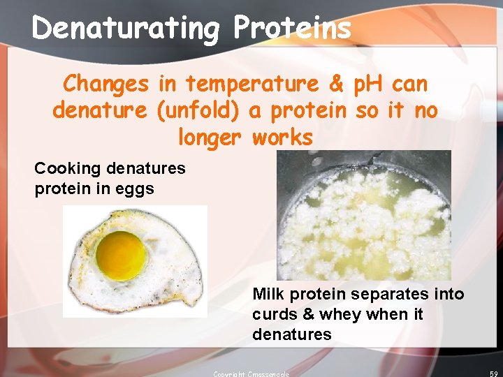 Denaturating Proteins Changes in temperature & p. H can denature (unfold) a protein so