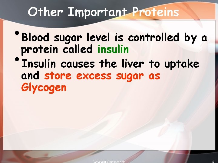 Other Important Proteins • Blood sugar level is controlled by a protein called insulin