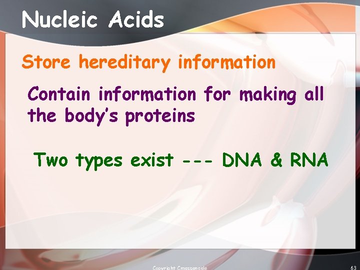 Nucleic Acids Store hereditary information Contain information for making all the body’s proteins Two