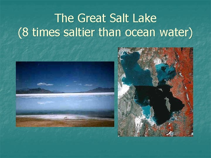 The Great Salt Lake (8 times saltier than ocean water) 