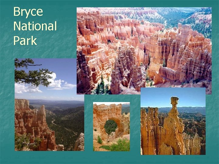 Bryce National Park 