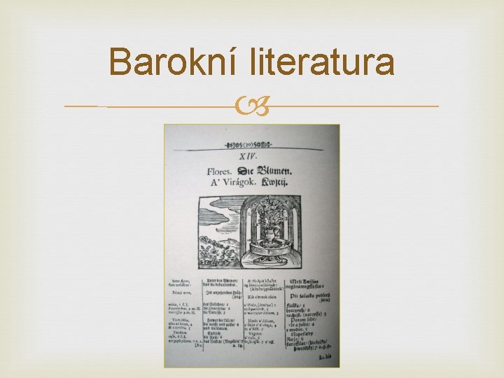 Barokní literatura 