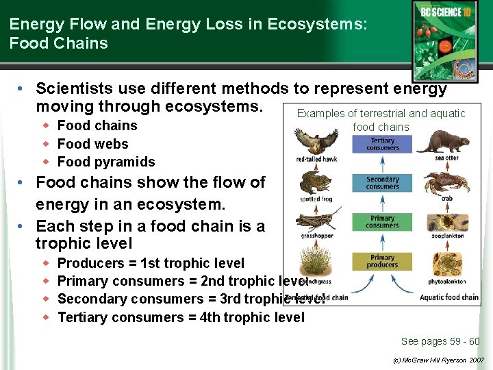 Energy Flow and Energy Loss in Ecosystems: Food Chains • Scientists use different methods