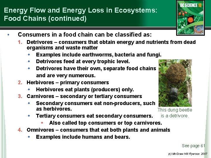Energy Flow and Energy Loss in Ecosystems: Food Chains (continued) • Consumers in a