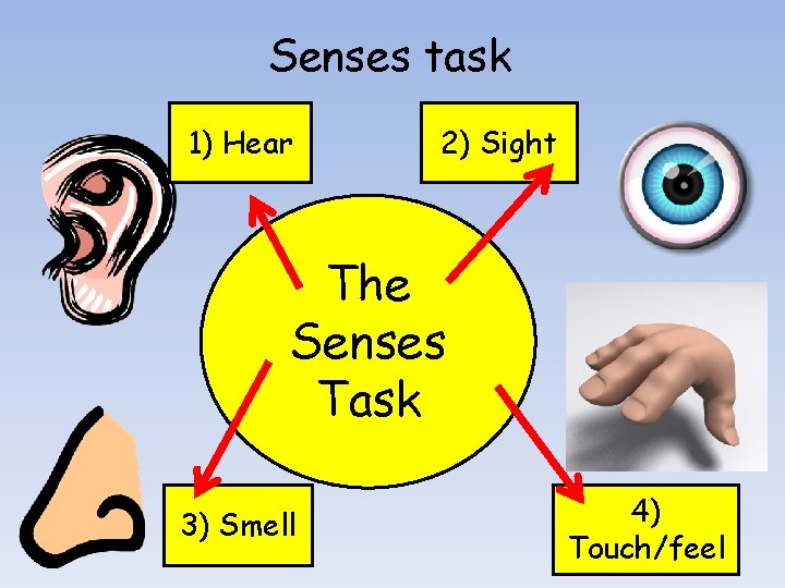 Senses task 1) Hear 2) Sight The Senses Task 3) Smell 4) Touch/feel 
