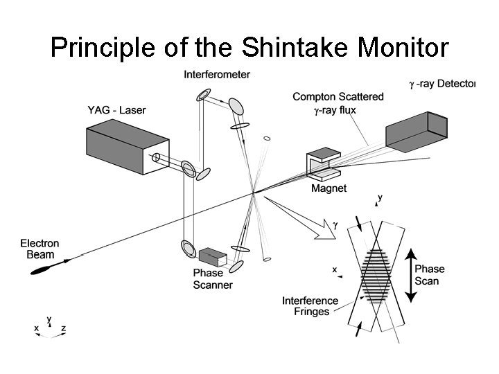 Principle of the Shintake Monitor 