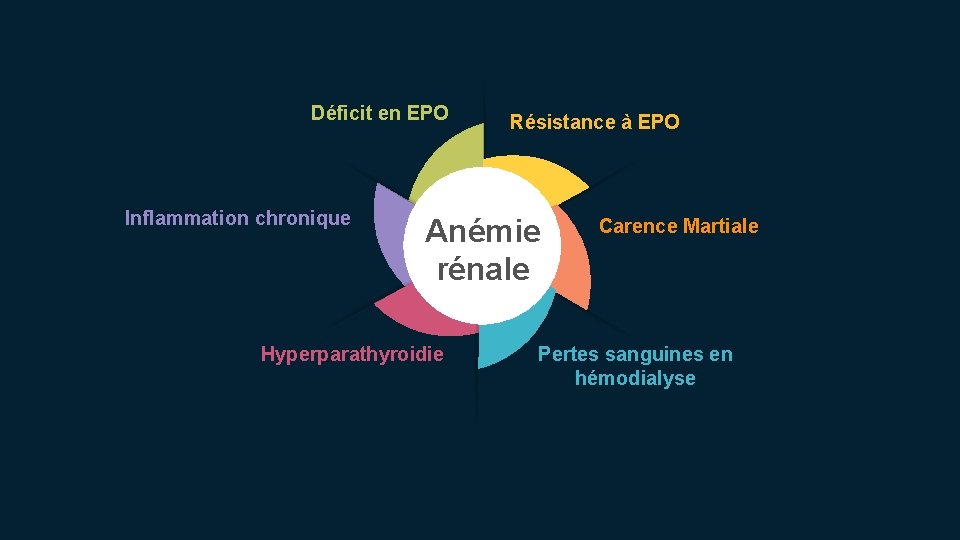 Déficit en EPO Inflammation chronique Résistance à EPO Anémie rénale Hyperparathyroidie Carence Martiale Pertes