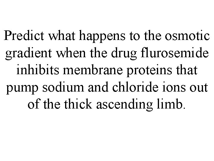 Predict what happens to the osmotic gradient when the drug flurosemide inhibits membrane proteins