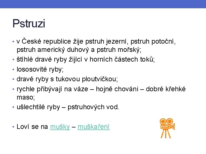 Pstruzi • v České republice žije pstruh jezerní, pstruh potoční, pstruh americký duhový a